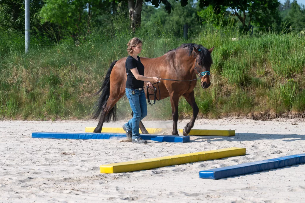 Equikinetic Ostfriesland